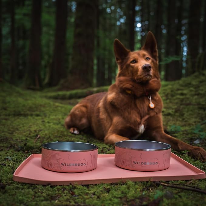 Wilderdog Silicone Pet Placemat Made - Image 8