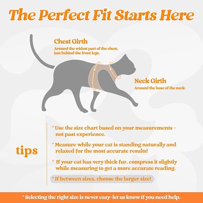 rabbitgoo Cat Harness and Leash Set - Image 2