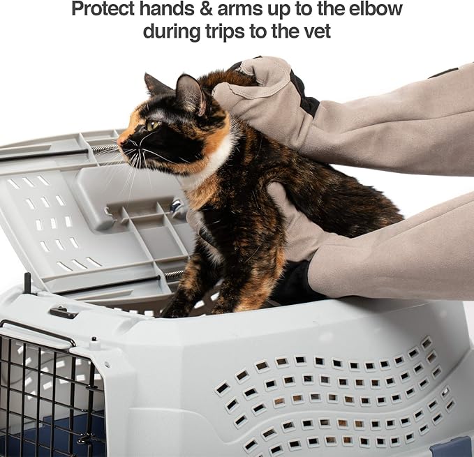 PetFusion Multipurpose Pet Glove - Image 5