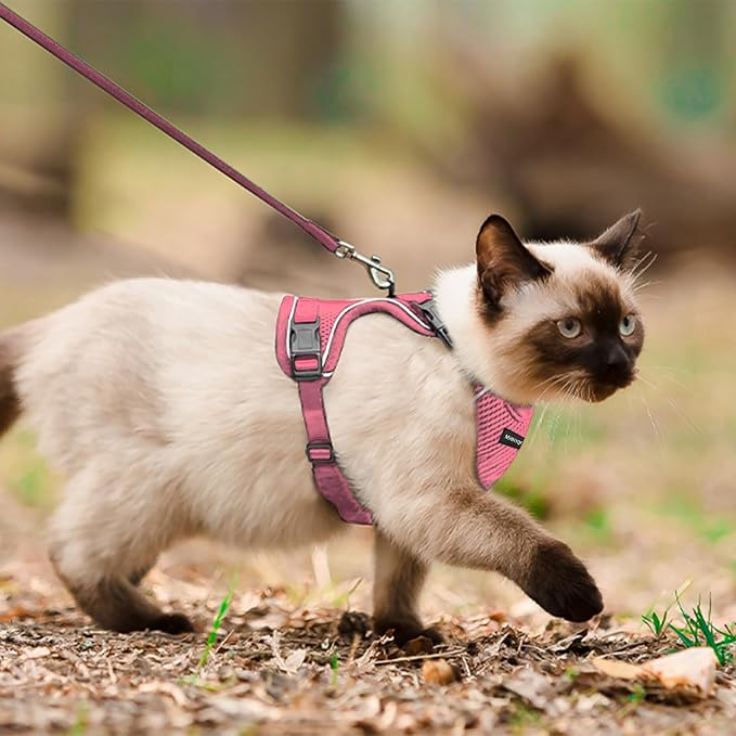 Cat Harness, Cat Harness and Leash - Image 5