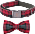 Elegant little tail Dog Collar by Elegantlittletail
