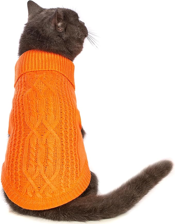 Stretchy Cat Sweater by Jnancun