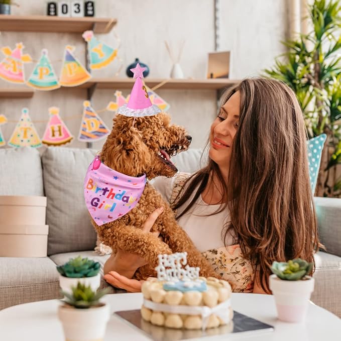 Dog Birthday Decorations, Dog Birthday Hat - Image 7