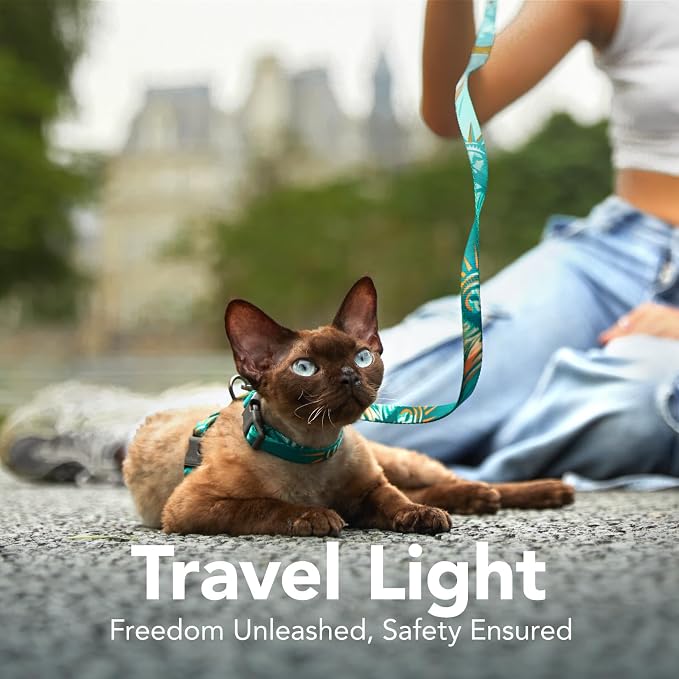 Cat Harness and Leash Set - Image 2