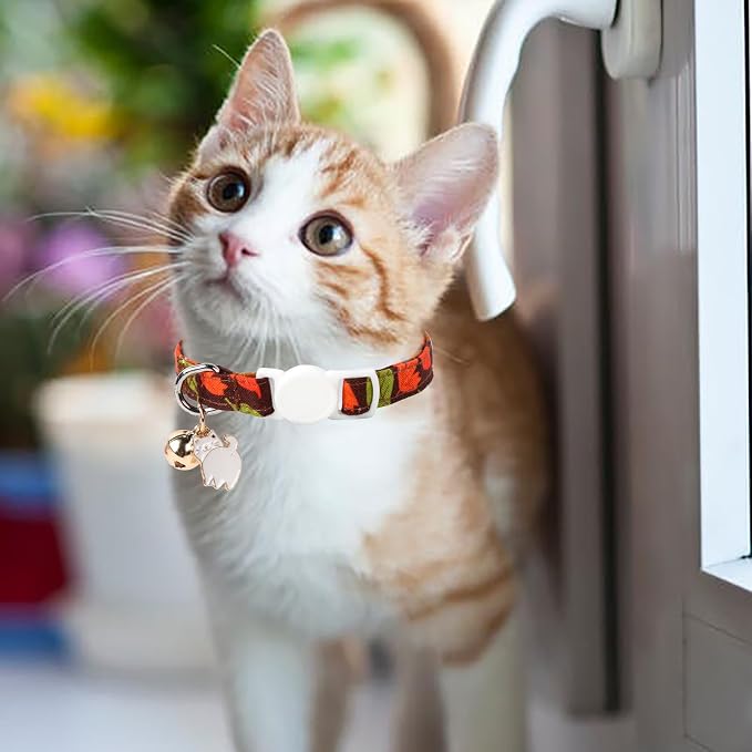 Unique style paws 2 Pack Kitten Collar Breakaway - Image 5