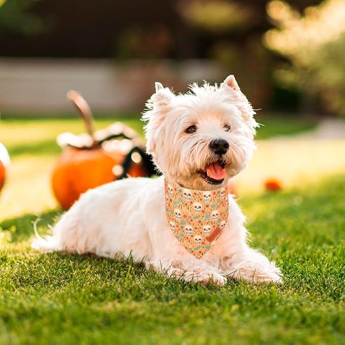 PTDECOR Halloween Dog Bandana, Skeleton Pumpkin Reversible Holiday Dog Scarf - Image 2