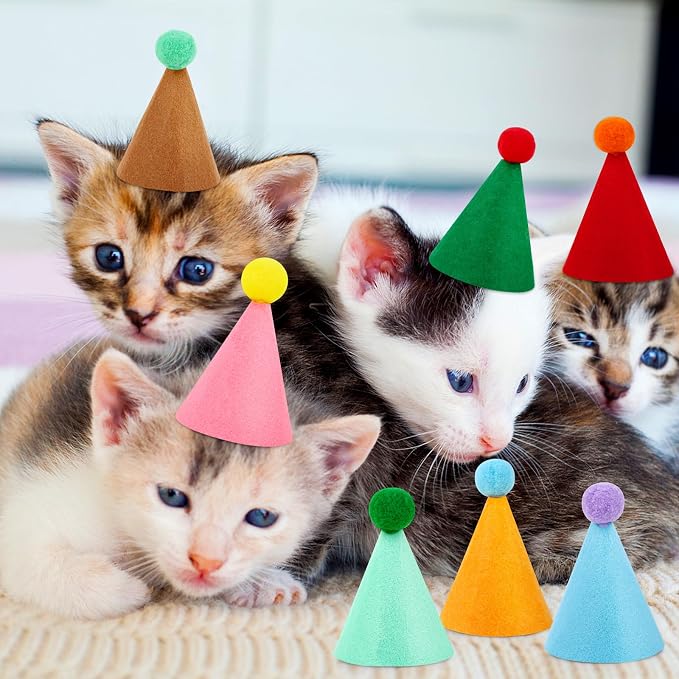 10 Pcs Mini Birthday Party Hats Multicolor Lovely Cone Hats - Image 4