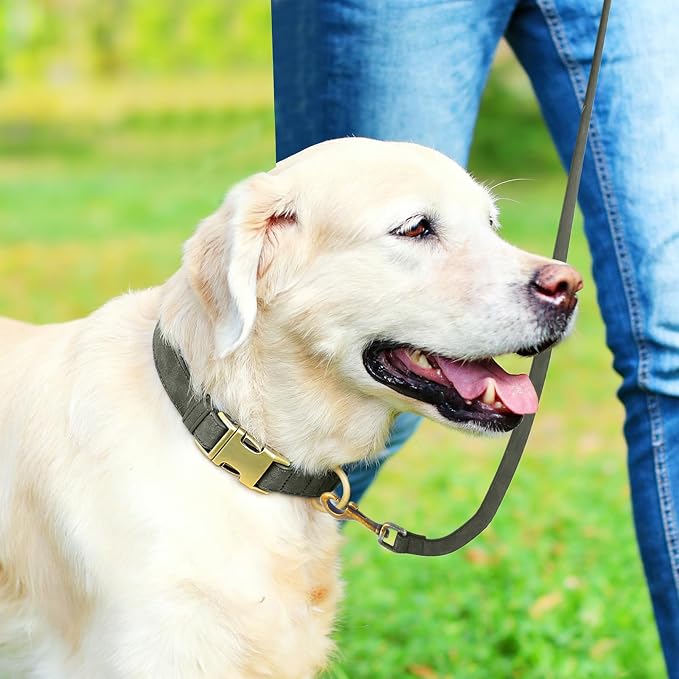 Genuine Leather Dog Collar - Image 3