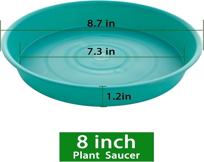 6 Pack of 8 inch Plant Saucer Blue, Plastic Plant Water Tray 8 inch Round - Image 2
