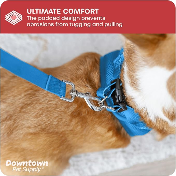 Downtown Pet Supply Step-in Dog Harness – No Pull, Adjustable Padded Mesh - Image 6