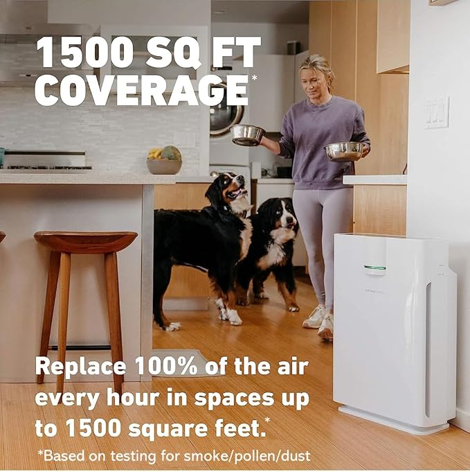 HATHASPACE HSP002 True HEPA Air Purifier - Image 5