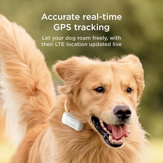 Petcube GPS Tracker for Dogs – Real-Time Location Tracking, Escape Alerts & - Image 2