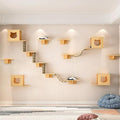 Cat Wall Shelves and Furniture Set by Canormpet