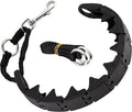 Ram-Pro Dog Training Collar Small Pinch Collar by RamPro