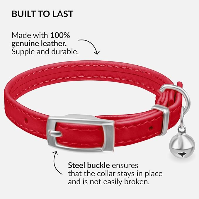 CollarDirect Leather Cat Collar - Image 2