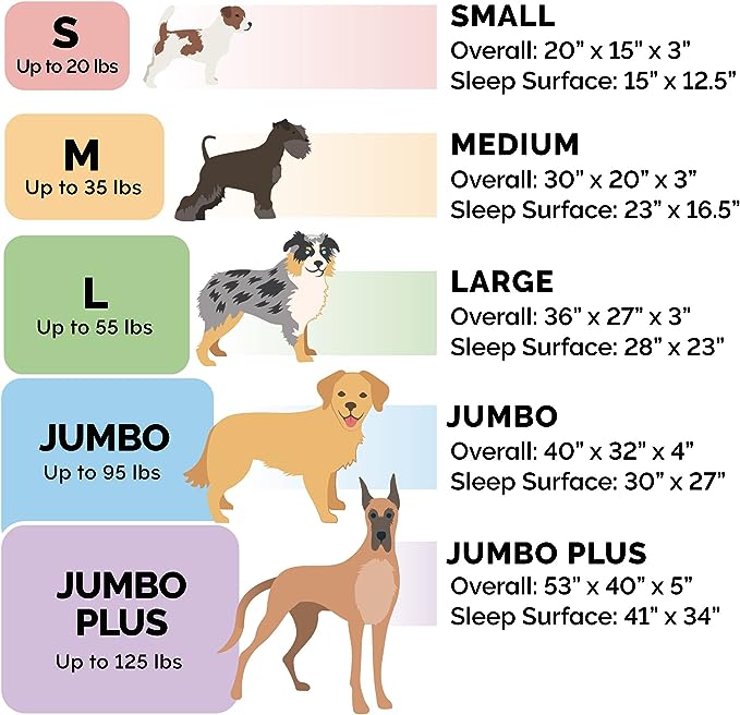 Furhaven Orthopedic Dog Bed for Medium/Small Dogs w/ Removable Bolsters & - Image 6