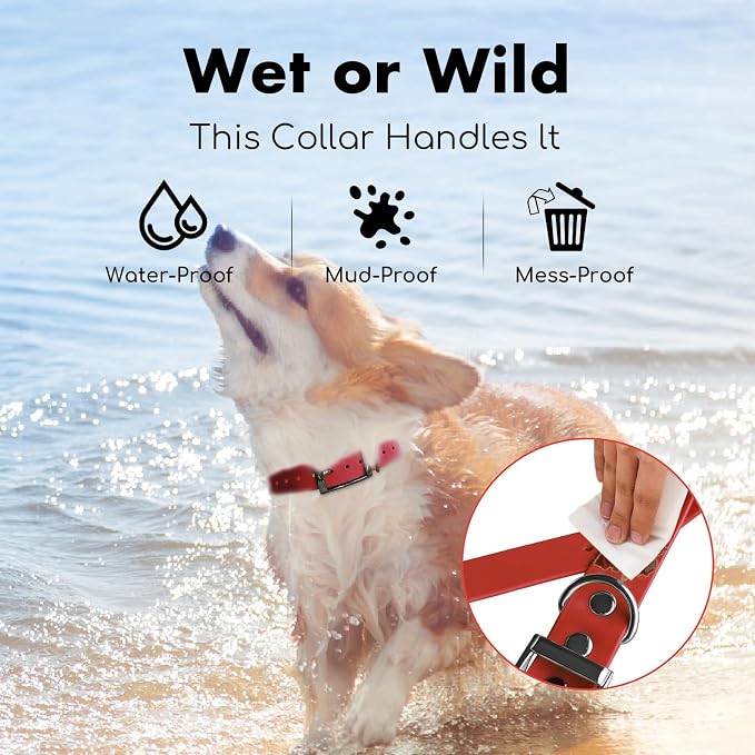 4.2FT Dog Collar and Leash Set, PVC Waterproof Adjustable Odor Proof Pet - Image 5