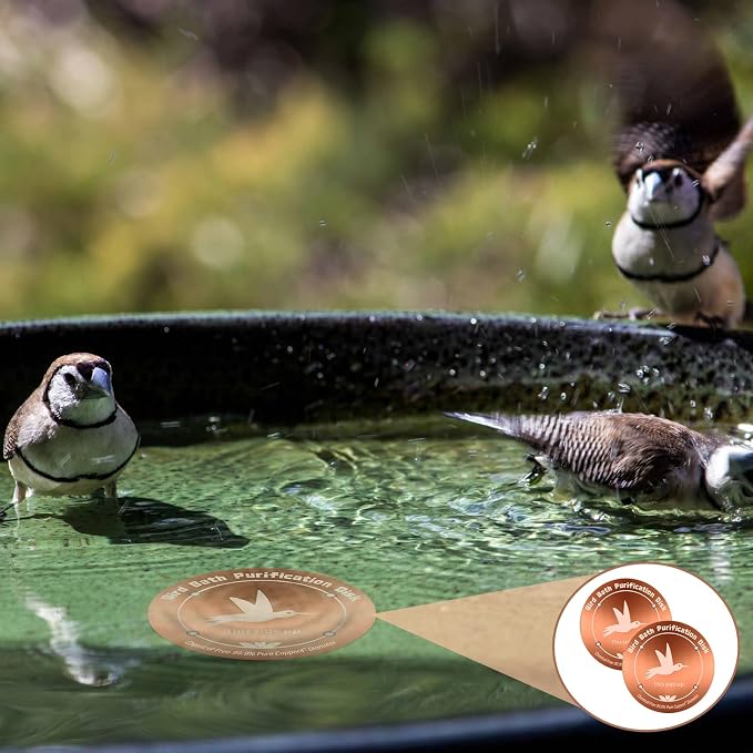 3PCS Pure Copper Bird Bath Purification Disk - Image 7