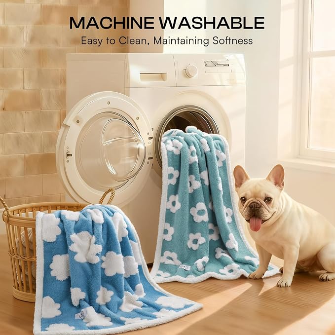 Luciphia Waterproof Pet Blanket - Image 5