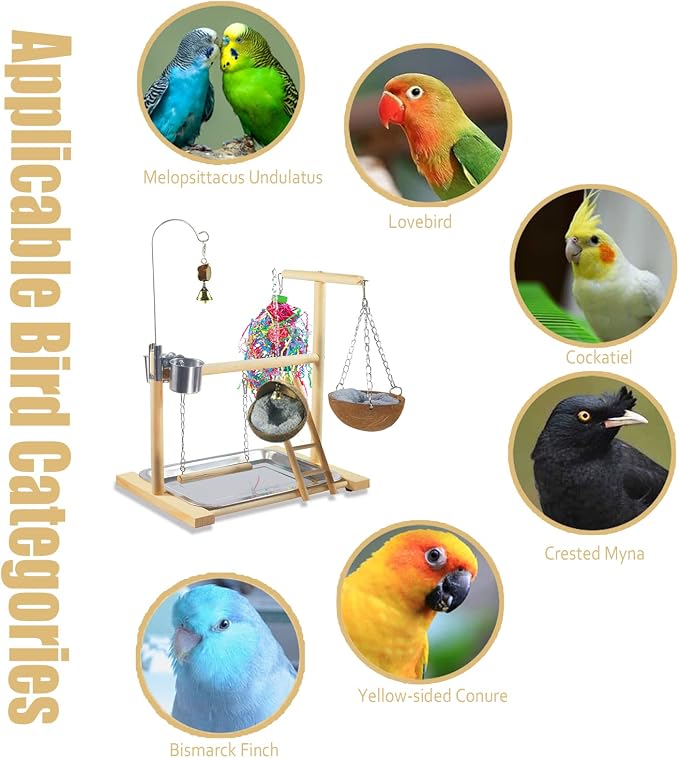 Bird Stand Fun Straw Bell Toys, Parrot Wooden Platform Stand - Image 7