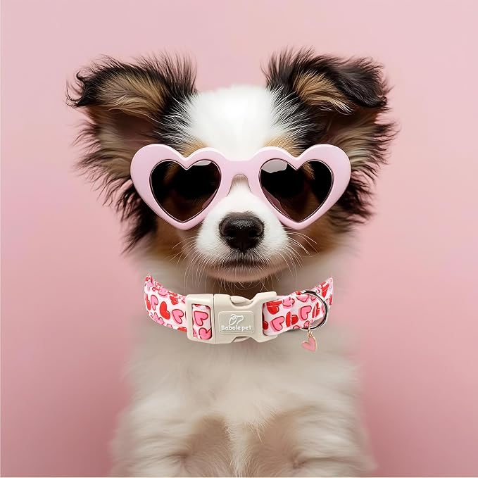 Valentines Dog Collar for Medium Dogs - Image 2