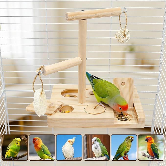 Interactive Wooden Bird Foraging Toy – Cage-Mounted Puzzle Feeder - Image 6