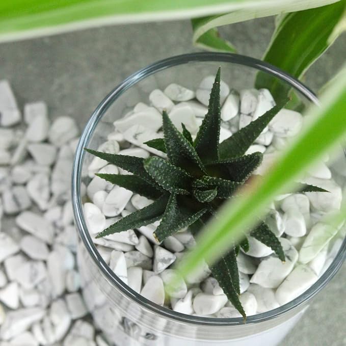 1lb Howlite Aquarium Gravel Rocks Natural Tumbled Healing Crystal Chips Bulk - Image 4