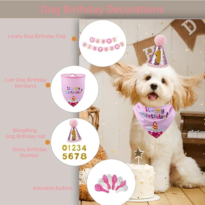 Pet Birthday Party Set, Dogs Bandana and Dog Birthday Hat - Image 2
