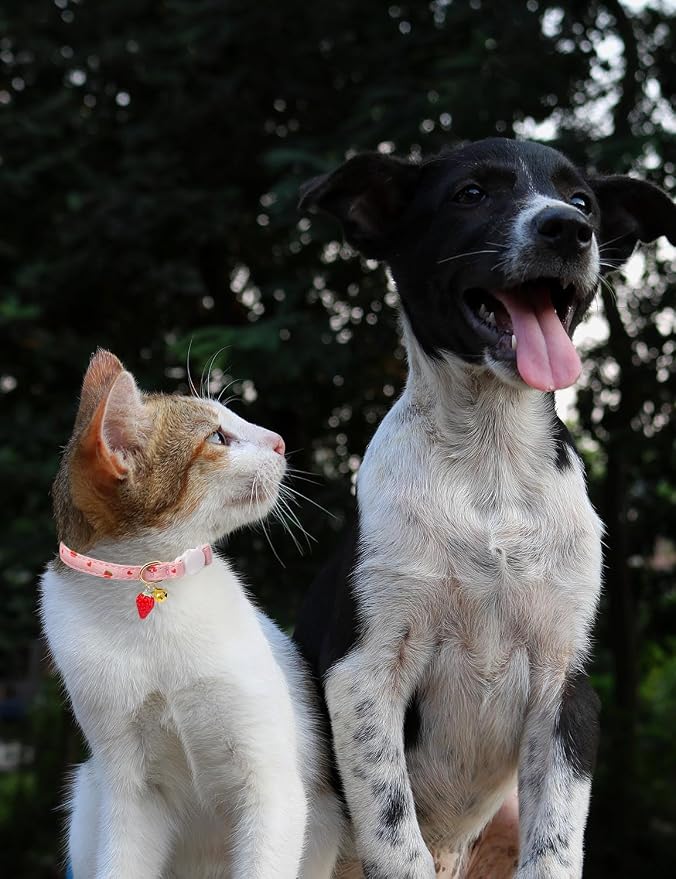 Cat Collar Breakaway with Bells, 3 Pack Safety Adjustable Pet Collars - Image 5