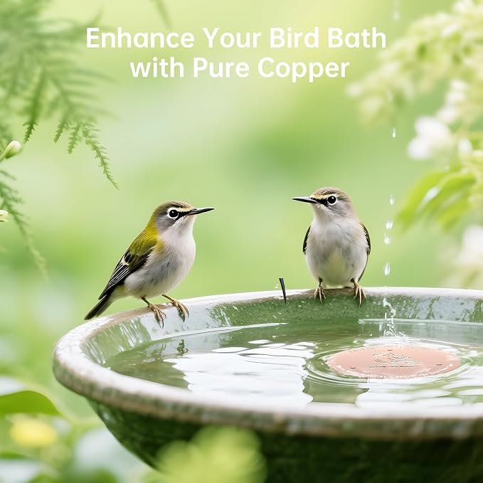 Bird Bath Copper Disk, Premium 0.6mm Sturdy 99.99% Pure Copper Disk - Image 6