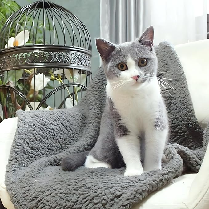 FurryBaby 1 Pack 2 Pet Blankets - Image 3