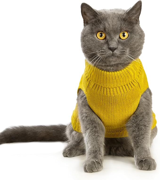 Stretchy Cat Sweater - Image 3