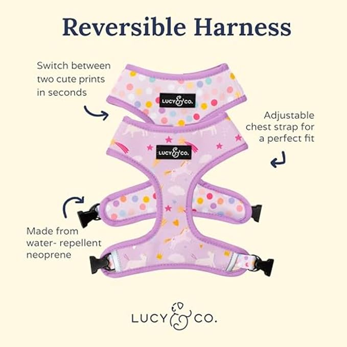 Lucy & Co. Cute Reversible Dog Harness Walking Halter - Image 4