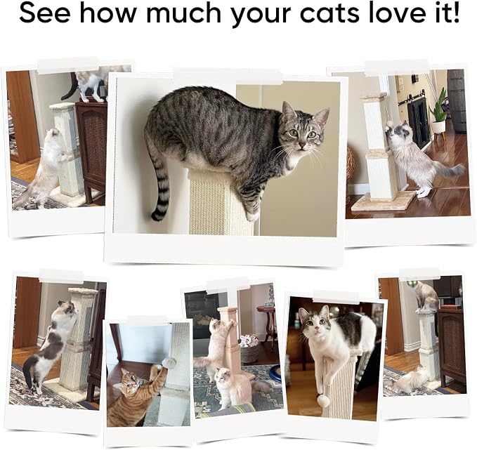 AGYM Cat Scratching Post, 32 Inch Cat Scratching Posts - Image 6