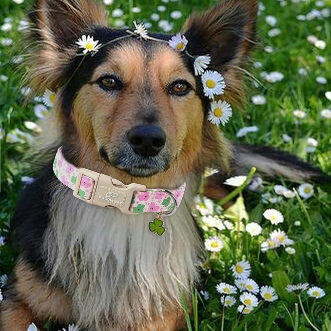 St Patricks Day Dog Collar for Giant Large Dogs - Image 2