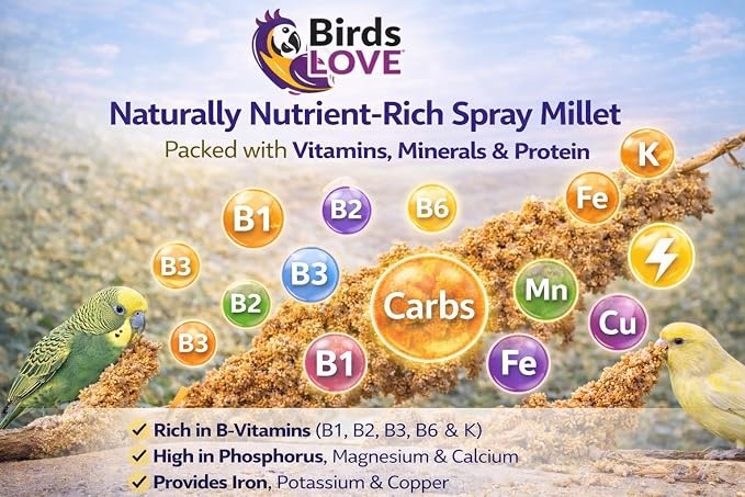Birds LOVE Millet Tips & Tails for Birds - Image 5