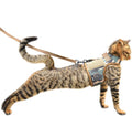 Tactical Kitty Harness and Leash by Yizhi+Miaow