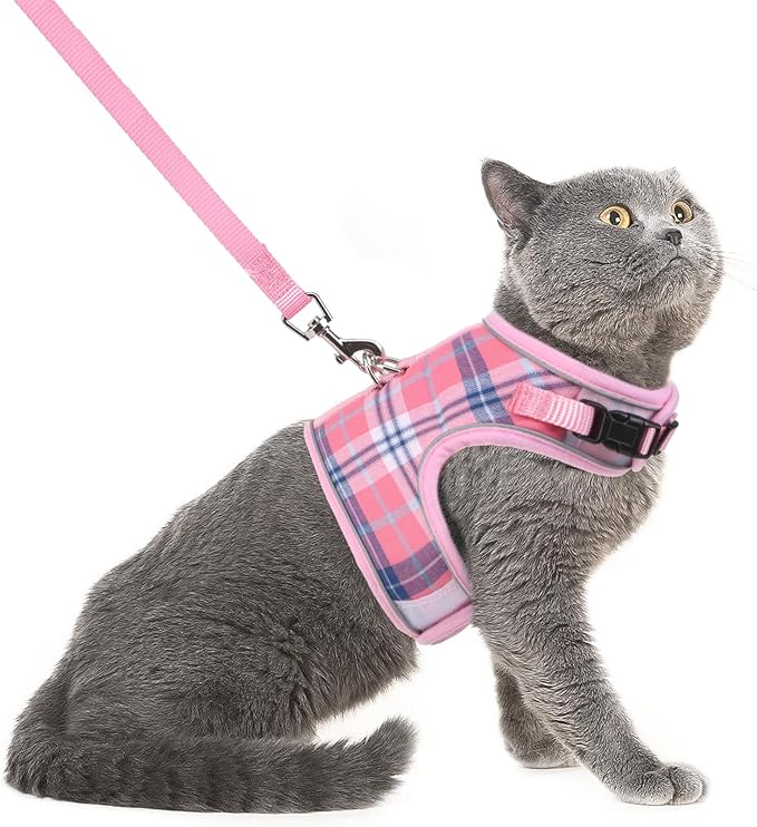 PUPTECK Soft Mesh Cat Vest Harness and Leash Set Puppy Padded Pet Harnesses by PUPTECK