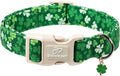 St. Patrick's Day Dog Collar for Large Dogs by Babolepet
