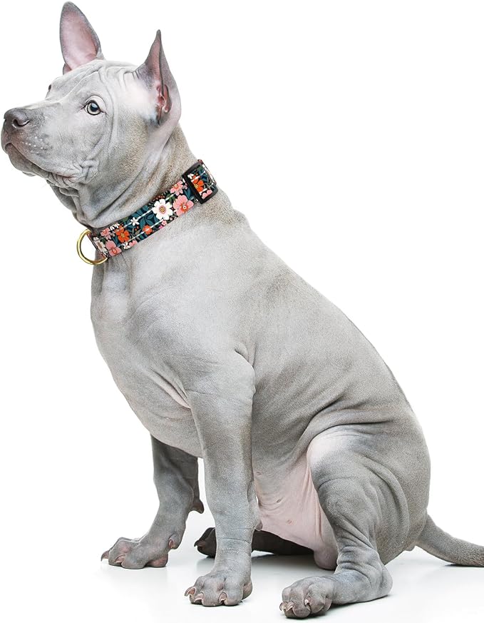 Reflective Dog Collar for Medium Dogs, Cute Flower Theme Adjustable Heavy-Duty - Image 2