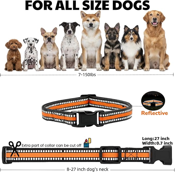 Dog Training Collar Replacement and Shock Collar Strap - Image 2