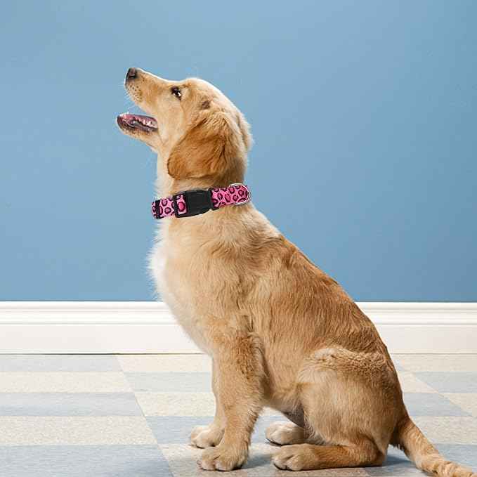 Reflective Dog Collar, Adjustable Soft Neoprene Padded Nylon Pet Collars