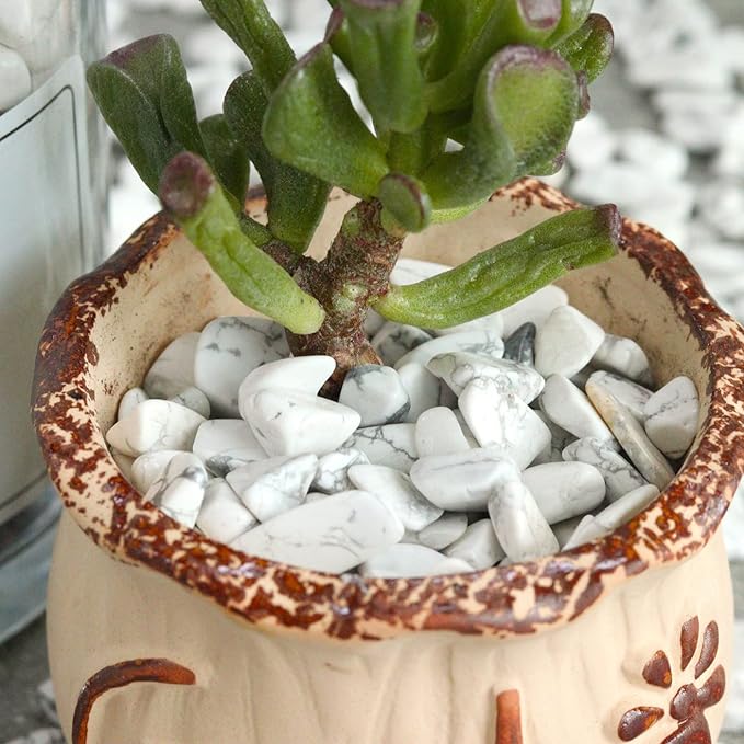 Howlite Aquarium Gravel Rocks Natural Tumbled Healing Crystal Chips Bulk - Image 5