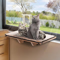 PETSFIT Cat Window Perch for 2 Cats, Adjustable Cat Hammock by Petsfit