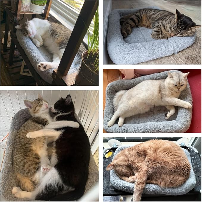 Cat Bed Washable Indoor Cat Cushion Bed, Soft and Cozy Plush Pet Bed-M - Image 2