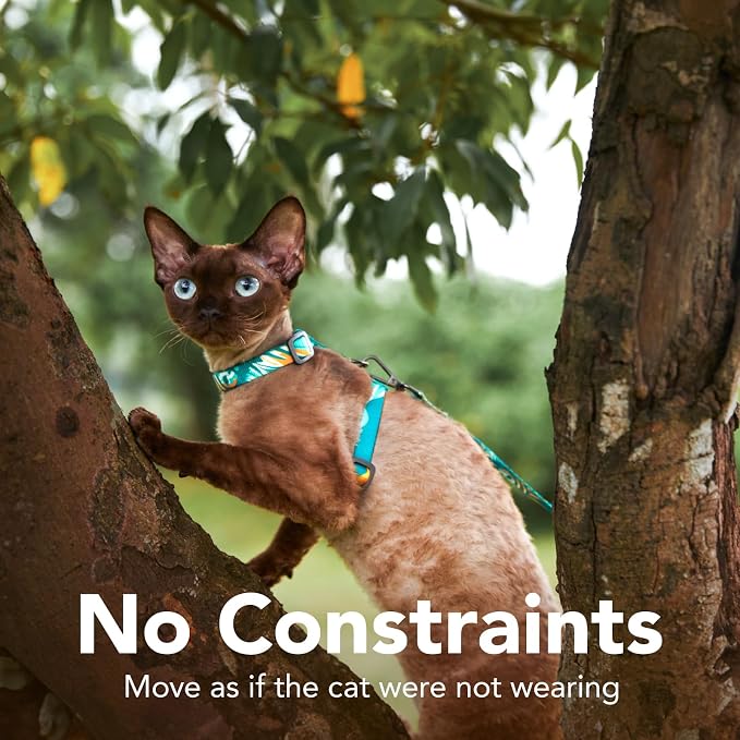 Cat Harness and Leash Set - Image 5