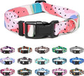 Mercano Adjustable Dog Collar by Unknown