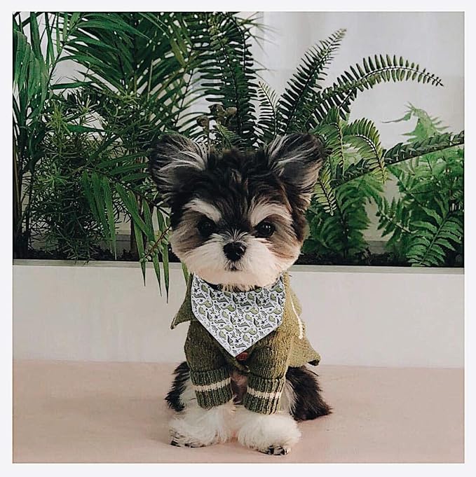 ARING PET Dinosaur Dog Bandanas, Summer Kerchief Triangle Bibs Scarf - Image 4
