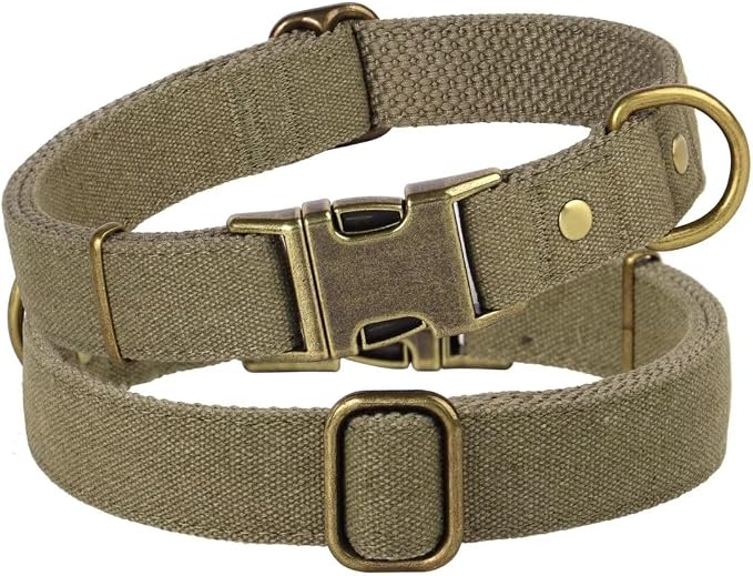 PET ARTIST Dog Collars for Medium Dogs, Soft Padded Premium Nylon Dog Collar - Image 7