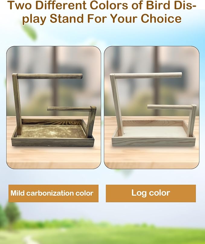 Small Bird Training Stand Portable Tabletop Birds Perch Desktop Platform - Image 7